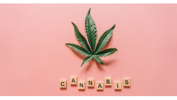 Giornata Mondiale della Cannabis: i benefici di questa pianta