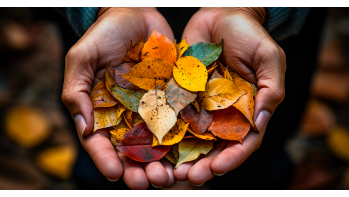 Come mantenere un cuore sano consigli di stile di vita per l'autunno