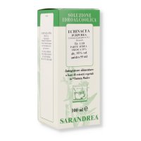 ECHINACEA PURPUREA 100ML TM