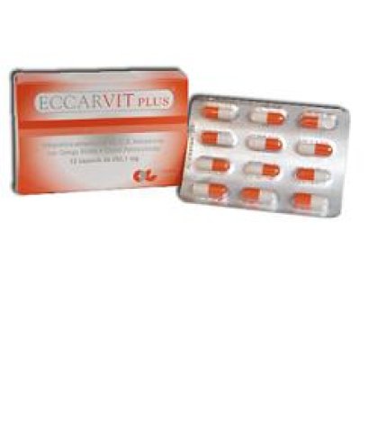 ECCARVIT PLUS 12CPS