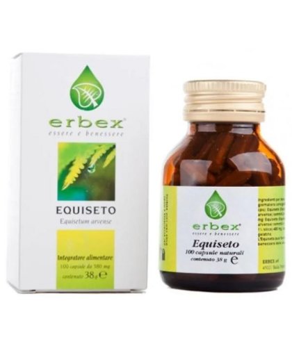 EQUISETO 100CPS 380MG