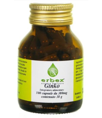 GINKGO BILOBA 100CPS 380MG