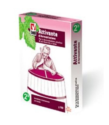 ATTIVANTE FERMENTAZIONE 100G