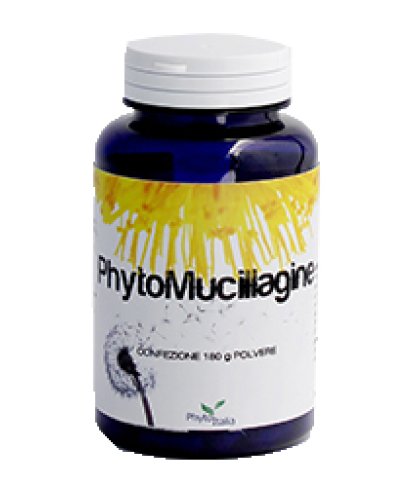 PHYTOMUCILLAGINE POLVERE 180G