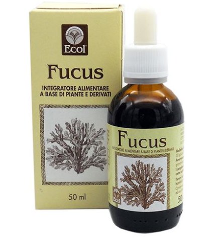 FUCUS ESTR ANALCO 50ML 796 ECO