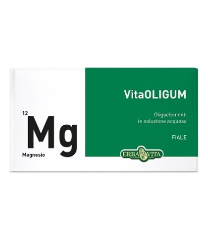 VITAOLIGUM MAGNESIO 20F ERBAVI