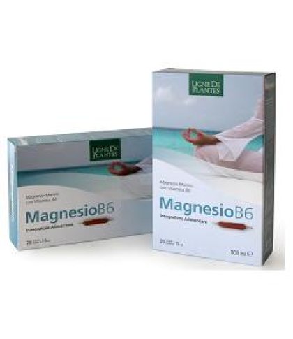 MAGNESIO B6 20AB 15ML