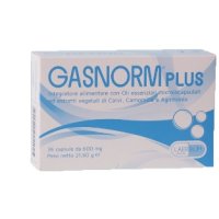 GASNORM PLUS 36CPS 23,4G