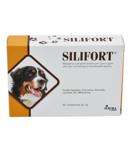 SILIFORT 30CPR 1G