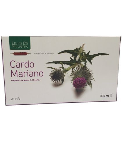 CARDO MARIANO 20AB 15ML