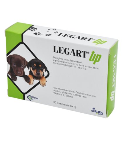 LEGART UP 30CPR