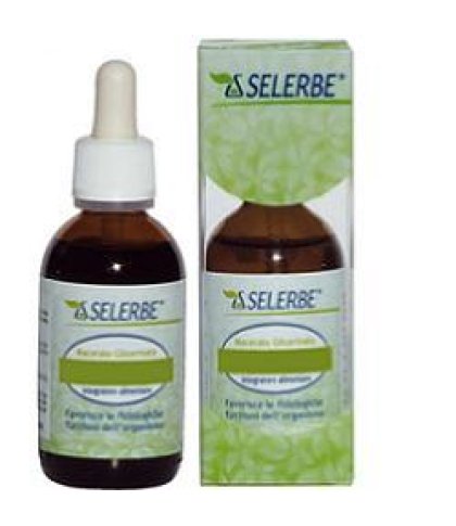 RIBES NIGR.MG 50ML GTT SELERBE