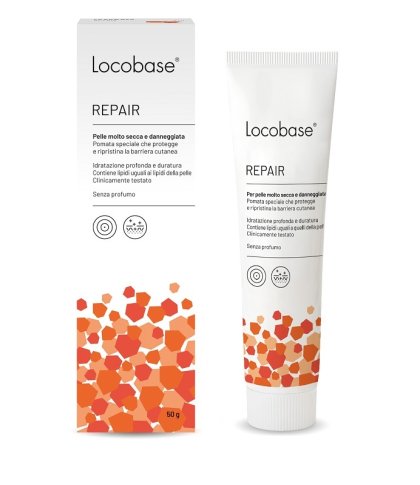 LOCOBASE REPAIR 100G