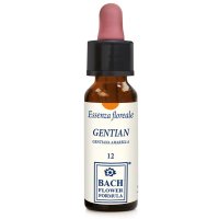 GENTIAN ORIGINAL 10ML GTT ERBA