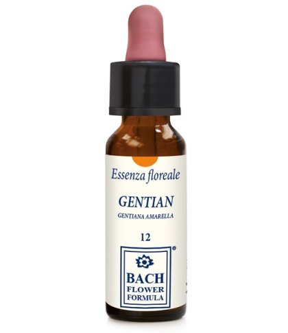 GENTIAN ORIGINAL 10ML GTT ERBA