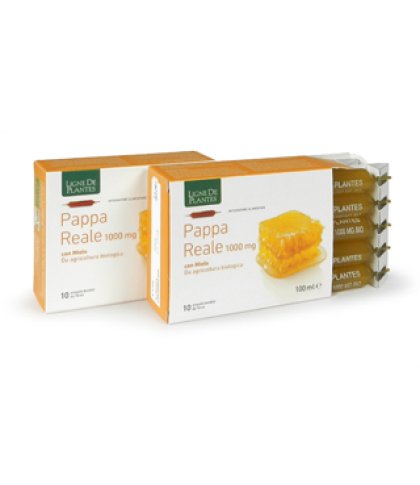 PAPPA REALE BIO 1000MG 10FLL 1