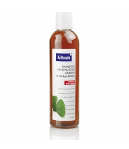 SHAMPOO PREV CAD GINKGO BILOBA