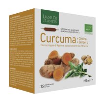 CURCUMA CICORIA ZENZERO 15FLL