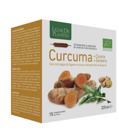 CURCUMA CICORIA ZENZERO 15FLL