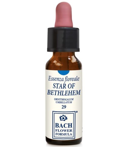 STAR OF BETHLEHEM 10ML GTT