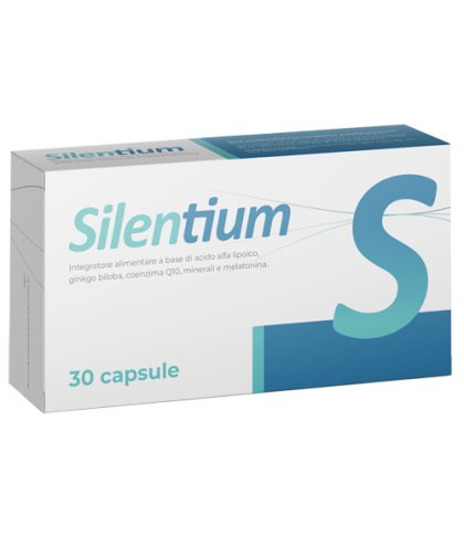 SILENTIUM 30CPS SEIKOU