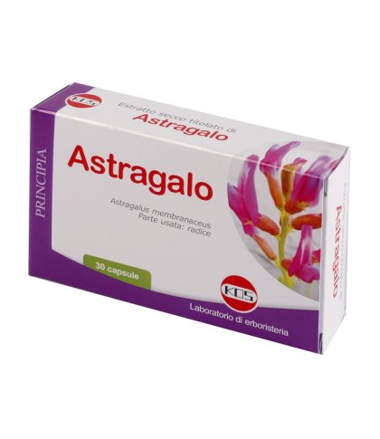 ASTRAGALO ES 70% 500MG 30CPS