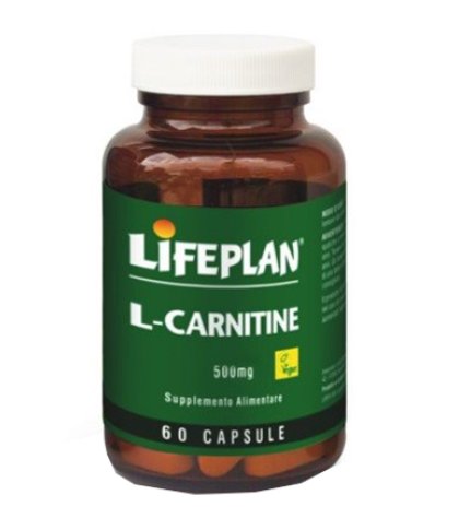 L-CARNITINE 500MG 60CPS