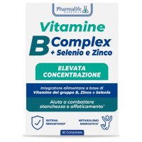 VITAMINA B COM60CPR VITACURVEG