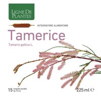 TAMERICE 15AMP 15ML