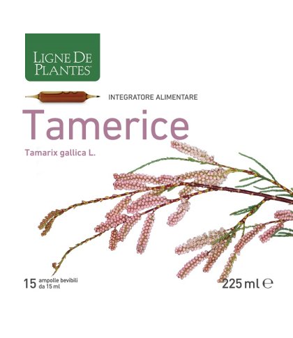 TAMERICE 15AMP 15ML