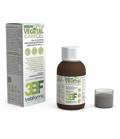 VEGETAL GEL 100GR (SOST VEGETA