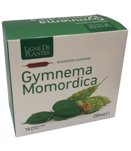 LIGNE GYMNEMA BIO 15AMP 15ML