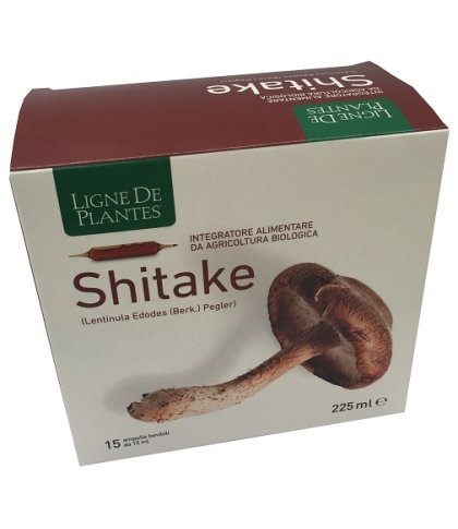 LIGNE SHITAKE BIO 15AMP 15ML