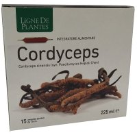 CORDYCEPS 15AB 15ML