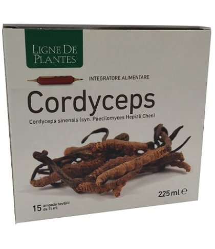 CORDYCEPS 15AB 15ML