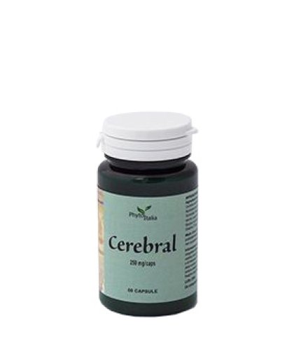 CEREBRAL AYURVED 60CPS