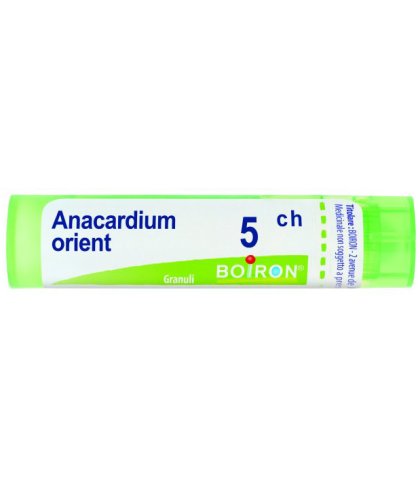 ANACARDIUM ORIENT 5CH GR