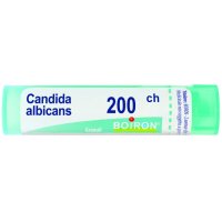 CANDIDA ALBICANS 200CH GR