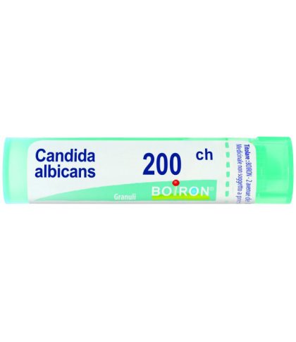 CANDIDA ALBICANS 200CH GR