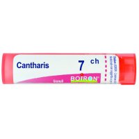 CANTHARIS 7CH GR