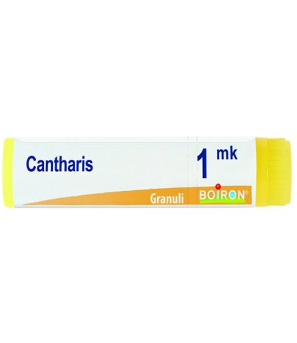 CANTHARIS MK GL