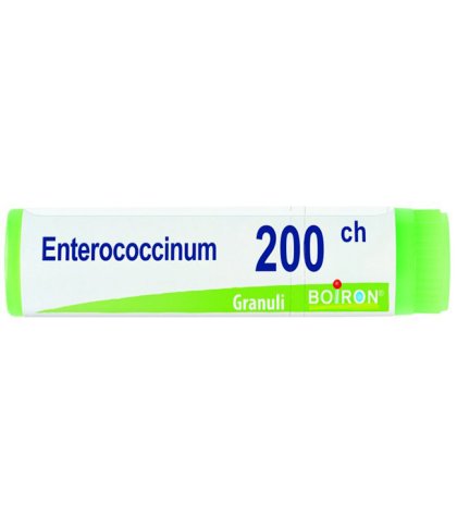 ENTEROCOCCINUM 200CH GL