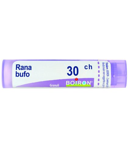 RANA BUFO 30CH GR