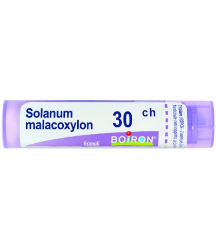 SOLANUM MALACOXYLON 30CH GR