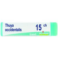 THUYA OCCIDENT 15CH GL