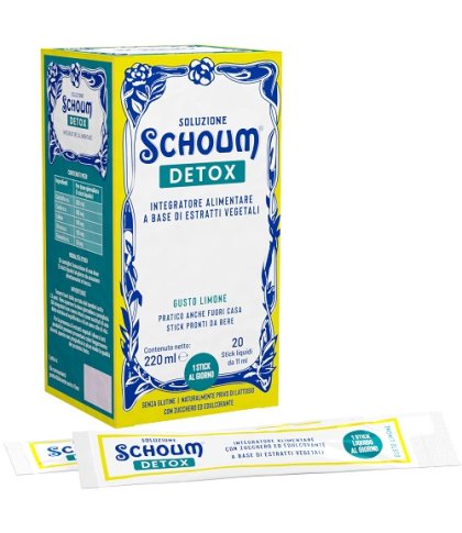 SOLUZIONE SCHOUM DETOX 20STICK