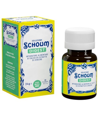 SOLUZIONE SCHOUM DIGEST 20FIZZ