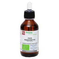 FICO RADICHETTE MG BIO 100ML