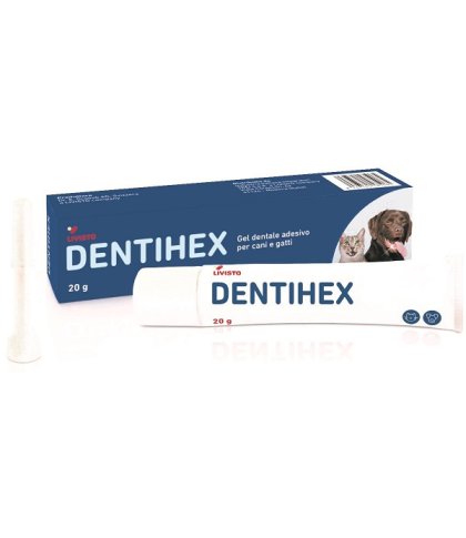 DENTIHEX GEL DENTALE ADES C/G