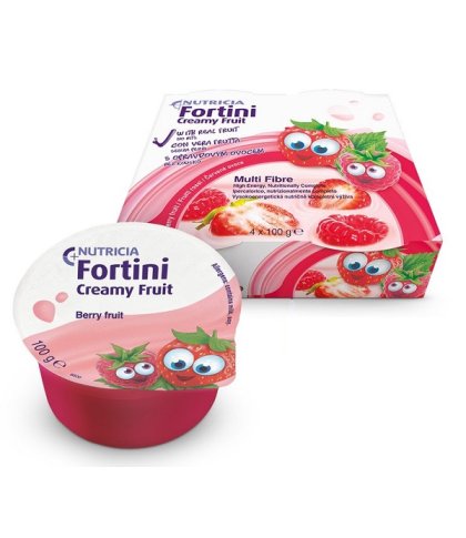 FORTINI CREAMY FRUIT FR RO 4PZ